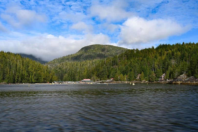 5 Reasons Behind the Popularity of Water Property in BC
