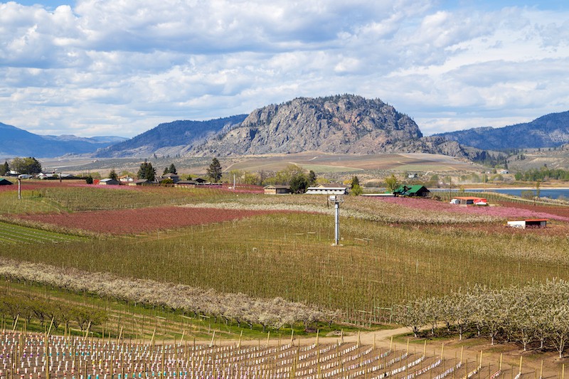 All about the ranches for sale in BC