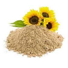 Sunflower Lecithin Powder manufacturer