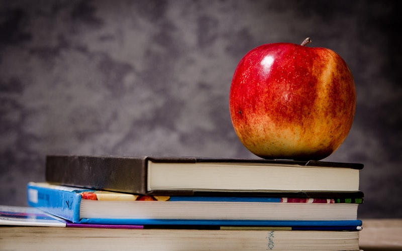 How good are homework help services?