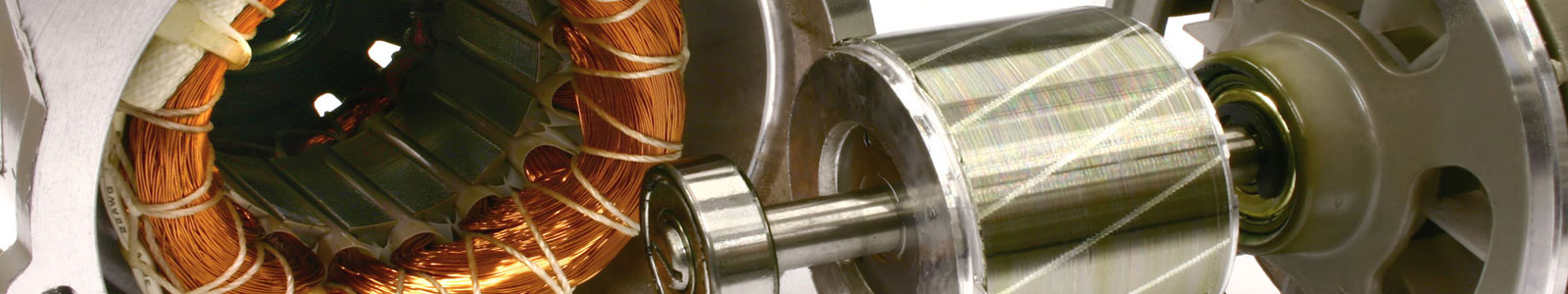 Industrial Electricals - Motors