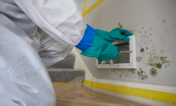 Top Factors Affecting Mold Remediation Costs