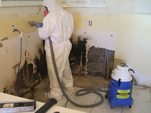 Best Service Provider For Mold Remediation Inspection Service
