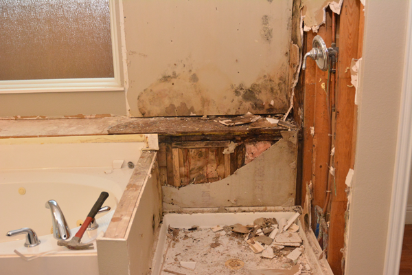 24/7 Mold Cleanup Services | Mold Detection Service
