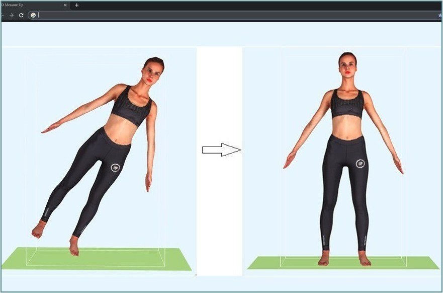 Standard Body Measurements
