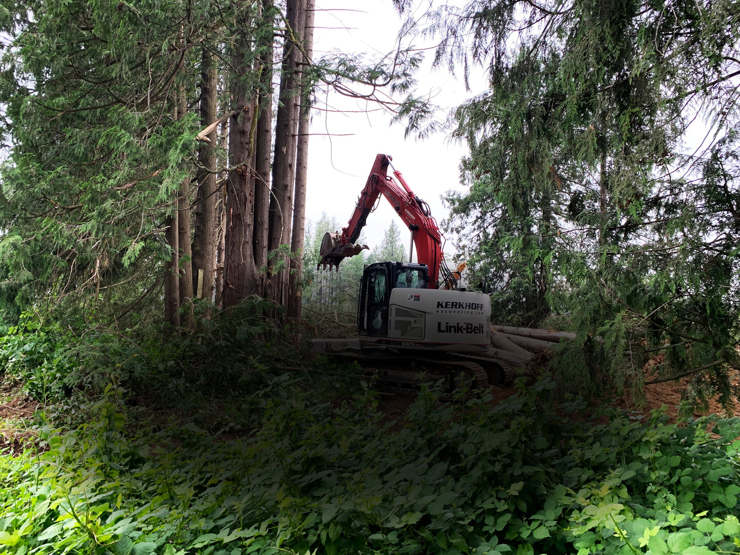 Septic Tank Should Be Maintained Regularly