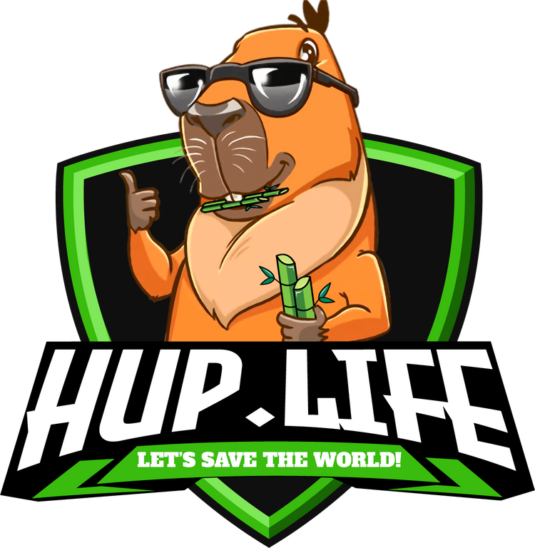 Know About Non Fungible Tokens Market @ Hup.Life