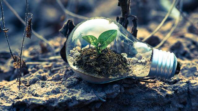 5 Ways to Leverage Sustainability as a Business Differentiator