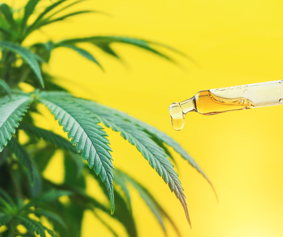 CBG Oil What is it?
