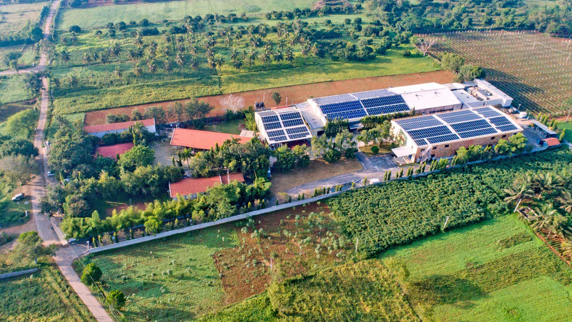 Domaine Sula - The Best Vineyard Near Bangalore