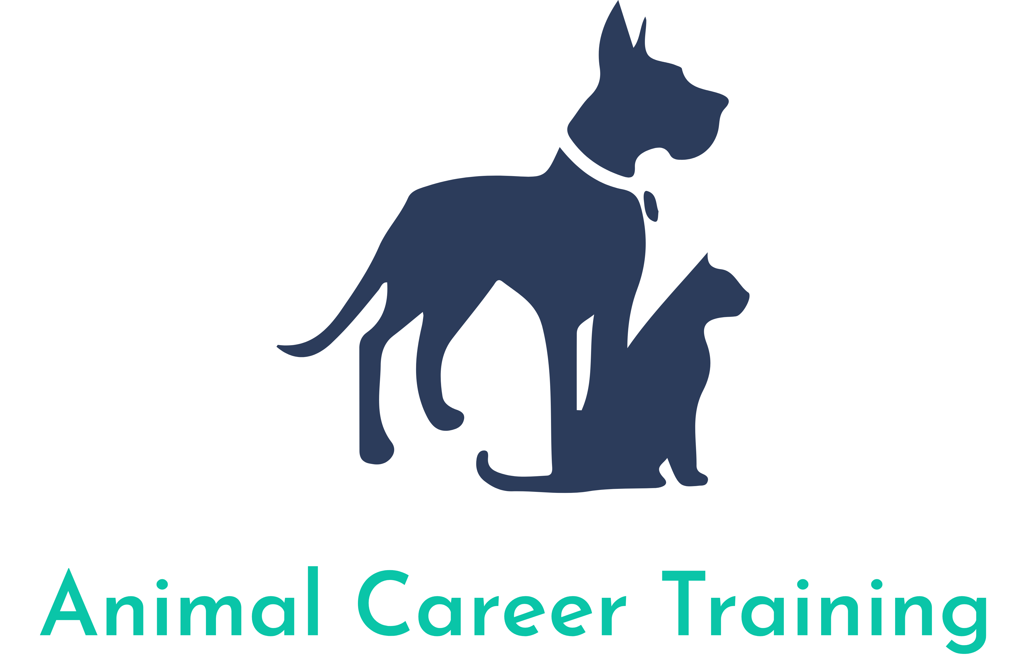 Basics On Animal Career Training