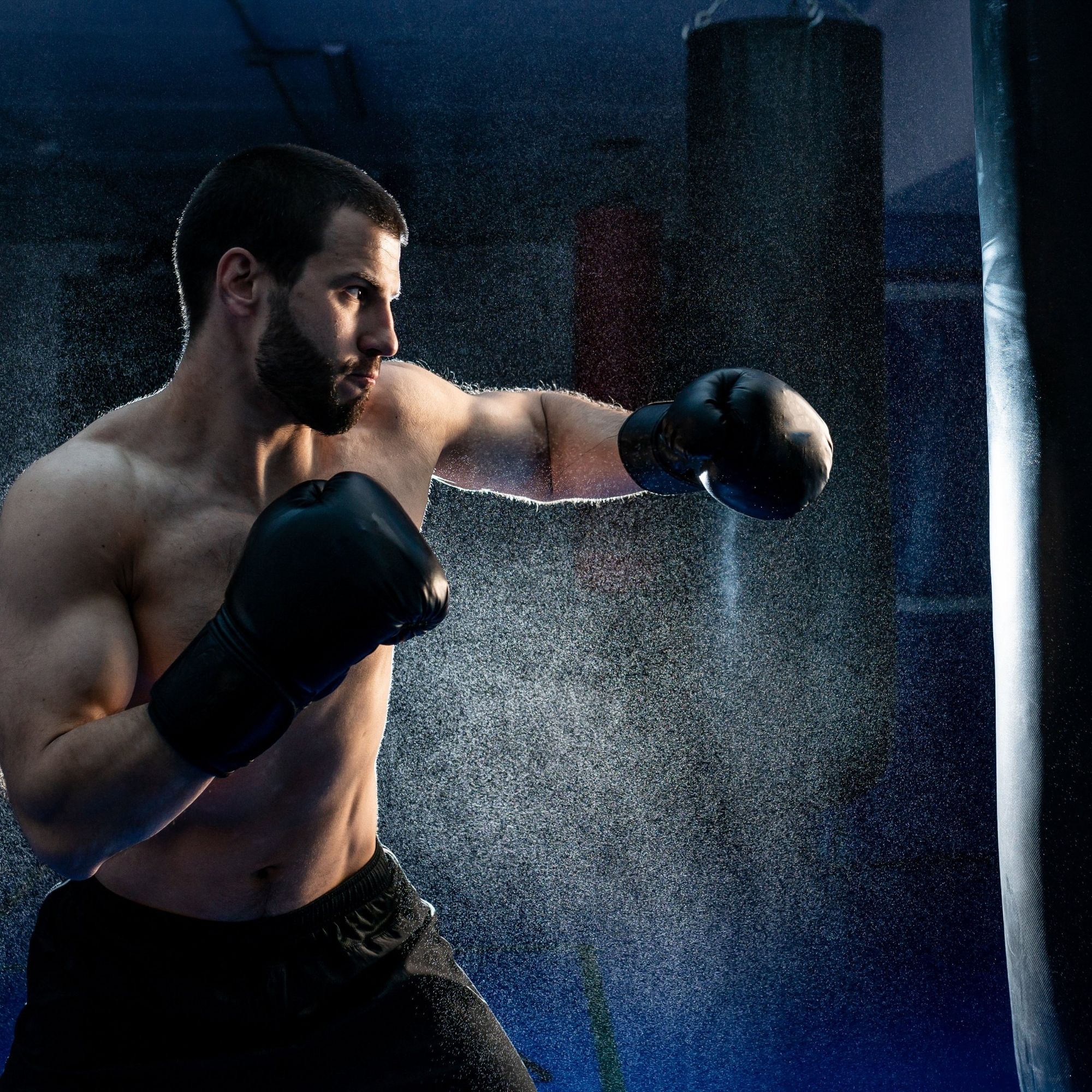 Punching Bags and Gloves For Sale
