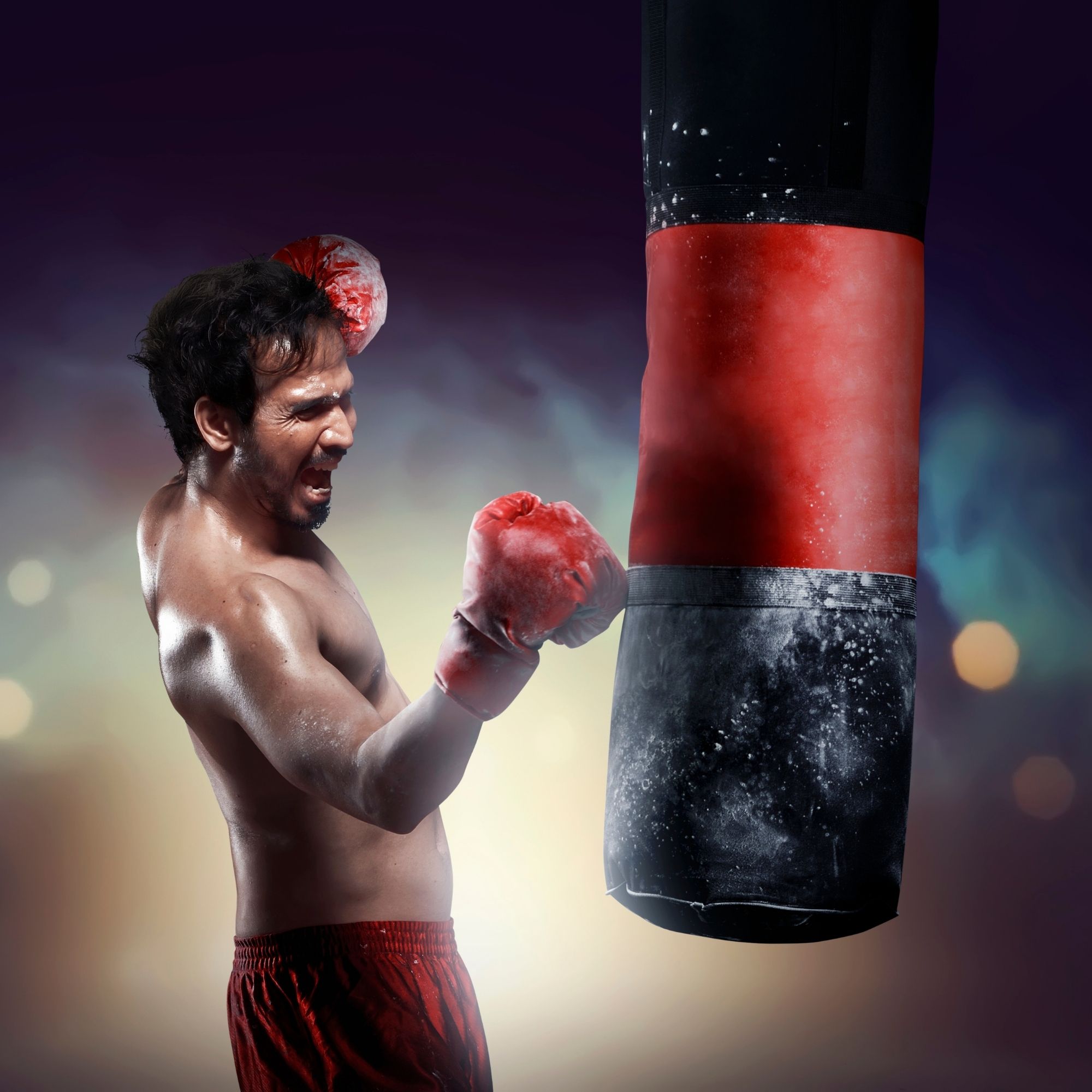 Where to buy a heavy bag