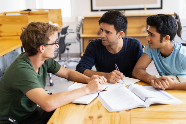 STATA Assignment Help Experts Hire Service