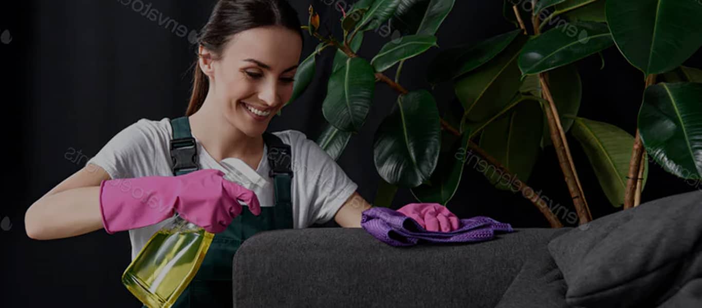 Upholstery Cleaning Sunshine Coast | Couch Cleaning Sunshine Coast | Bright Couch Cleaning Sunshine Coast