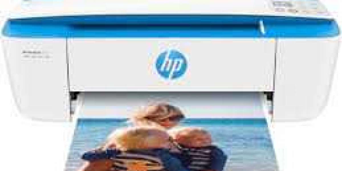 Solving The Error Easily By HP Printer Support Phone Number