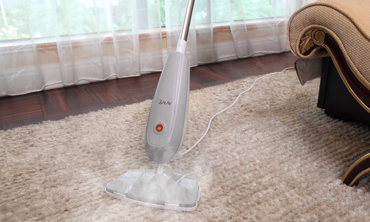 Professional Carpet Steam Cleaning Vs DIY Techniques