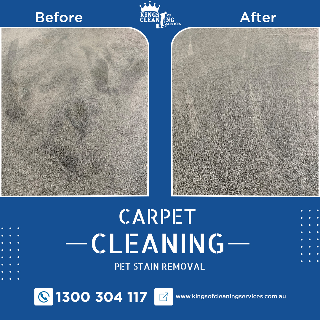 The Ghost Stains On Your Carpet!