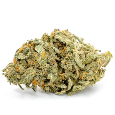 Amnesia Haze Royal Seed Strain by Green Genie Provision