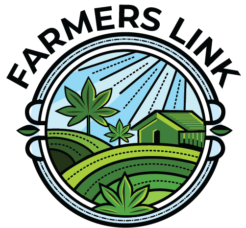 Same Day Weed Delivery Toronto Ontario