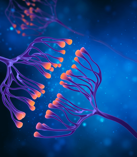 5 Ways To Turn Inward