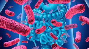 Gut Microbiome Market 2020 Major Key Players and Industry Analysis Till 2027