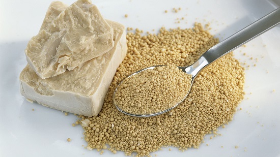 Yeast Market Current Trends and Future Aspect Analysis, Leading Players, SWOT Study and Forecast to 2027