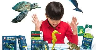Aquatic Animals Games for Kindergarten - RedChimpz