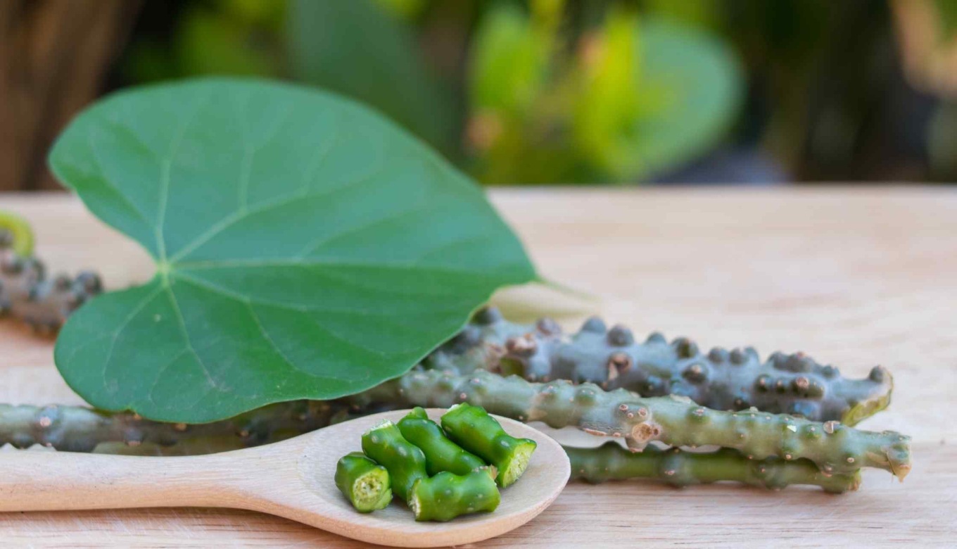 Giloy Juice Health Benefits