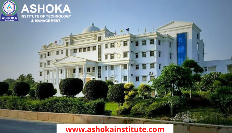 View Ashoka Placement Review