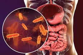 Animal Intestinal Health Market Size, Share, Growth Opportunity & Global Forecast to 2027