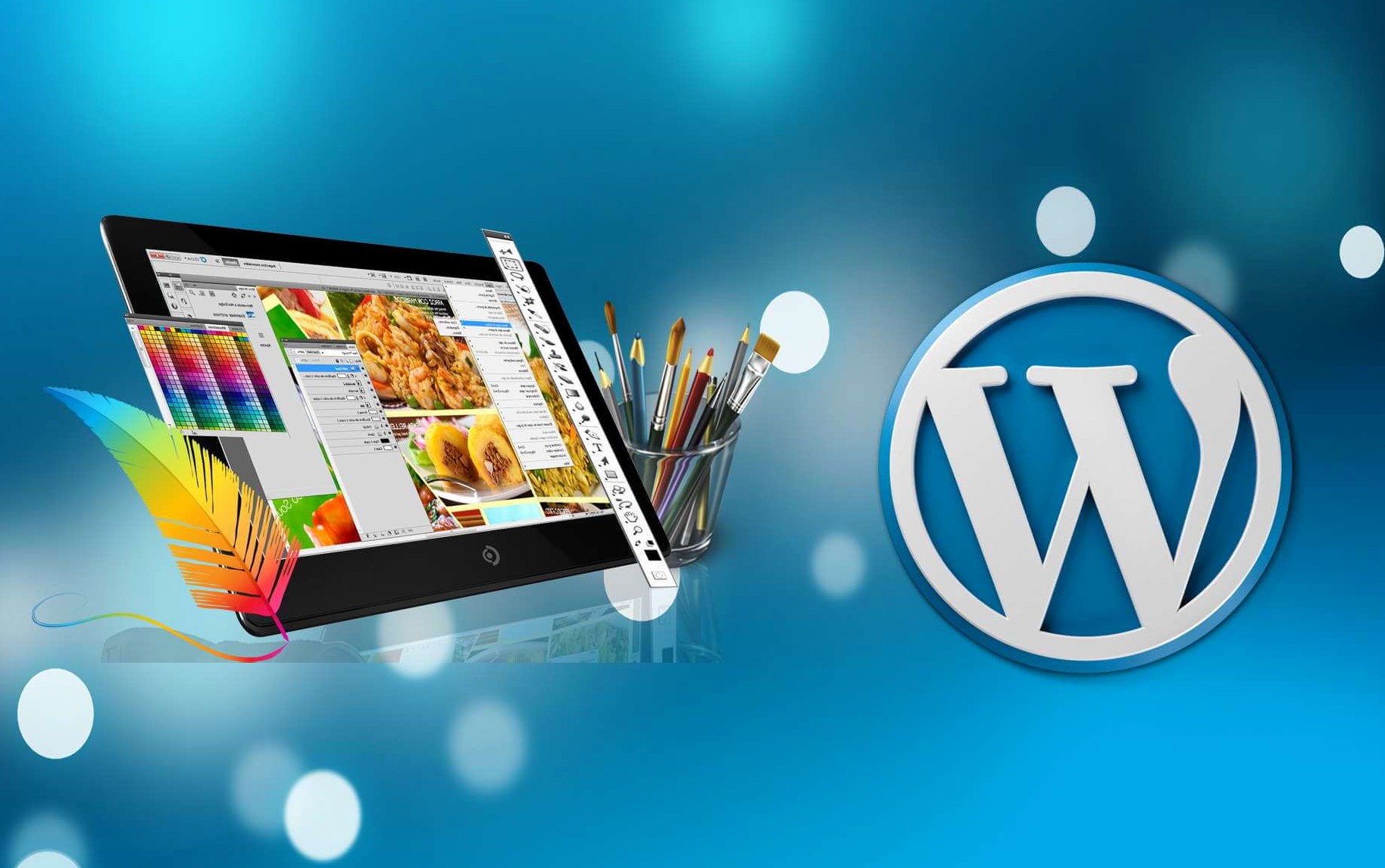 What all to look for in your WordPress Developer