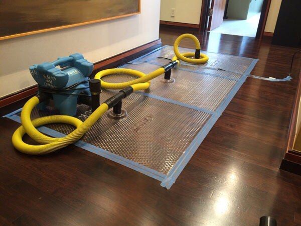 Timber Floor Drying in Sydney