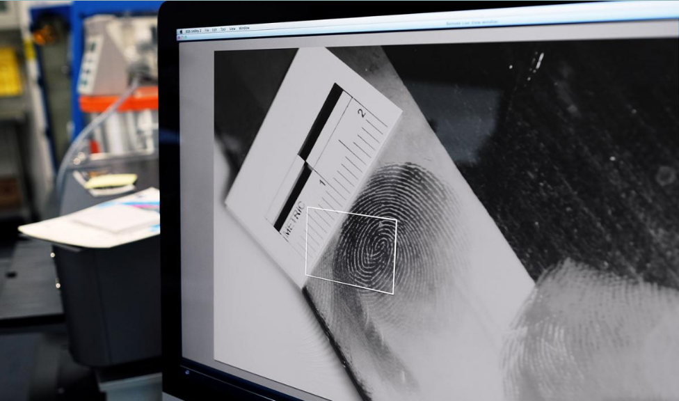 What Makes A Fingerprint Analyst So Crucial In An Investigation?