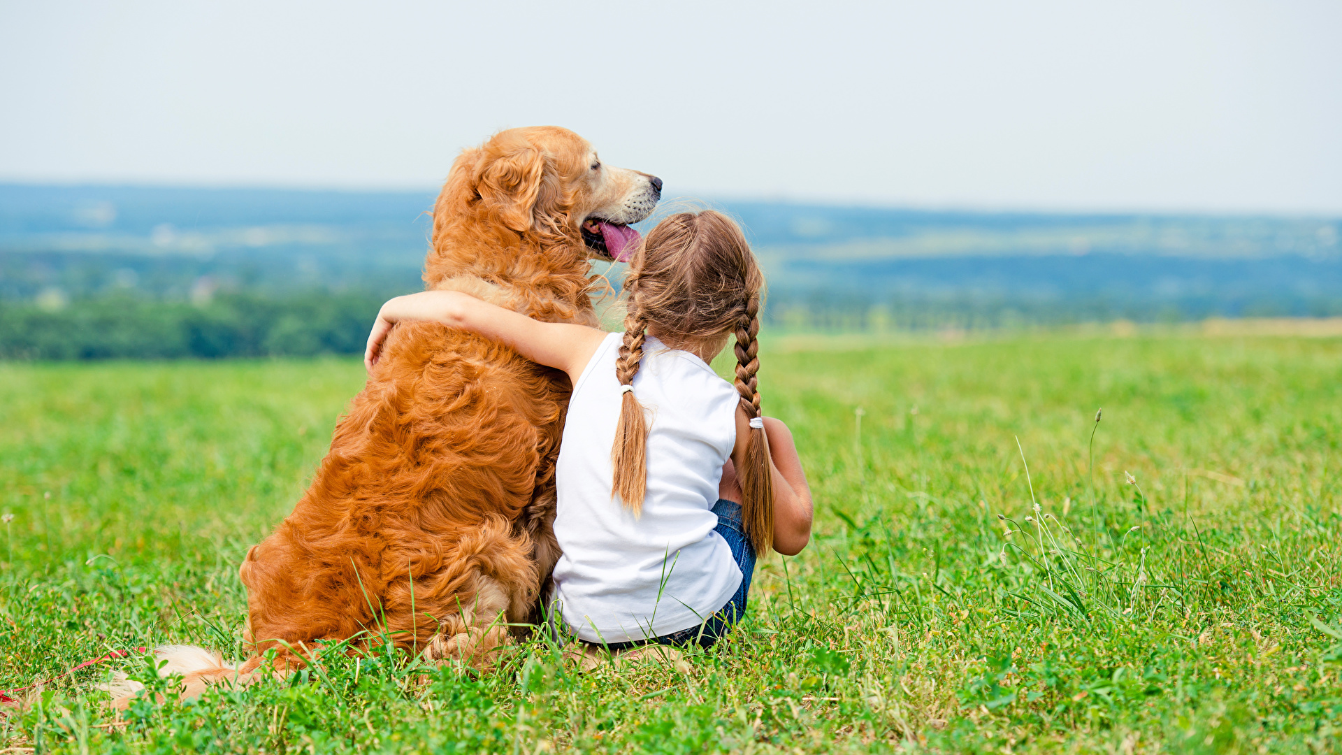 Tramadol For cats and dogs - buy cheap Tramadol For cats and dogs| tramadol 100mg