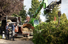 Stump Grinding Services in Flint, MI