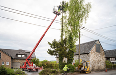 Tree Removal Services in Lebanon, PA