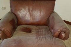 Carpet Shield - How to Protect Your Carpet From Spills and Stains