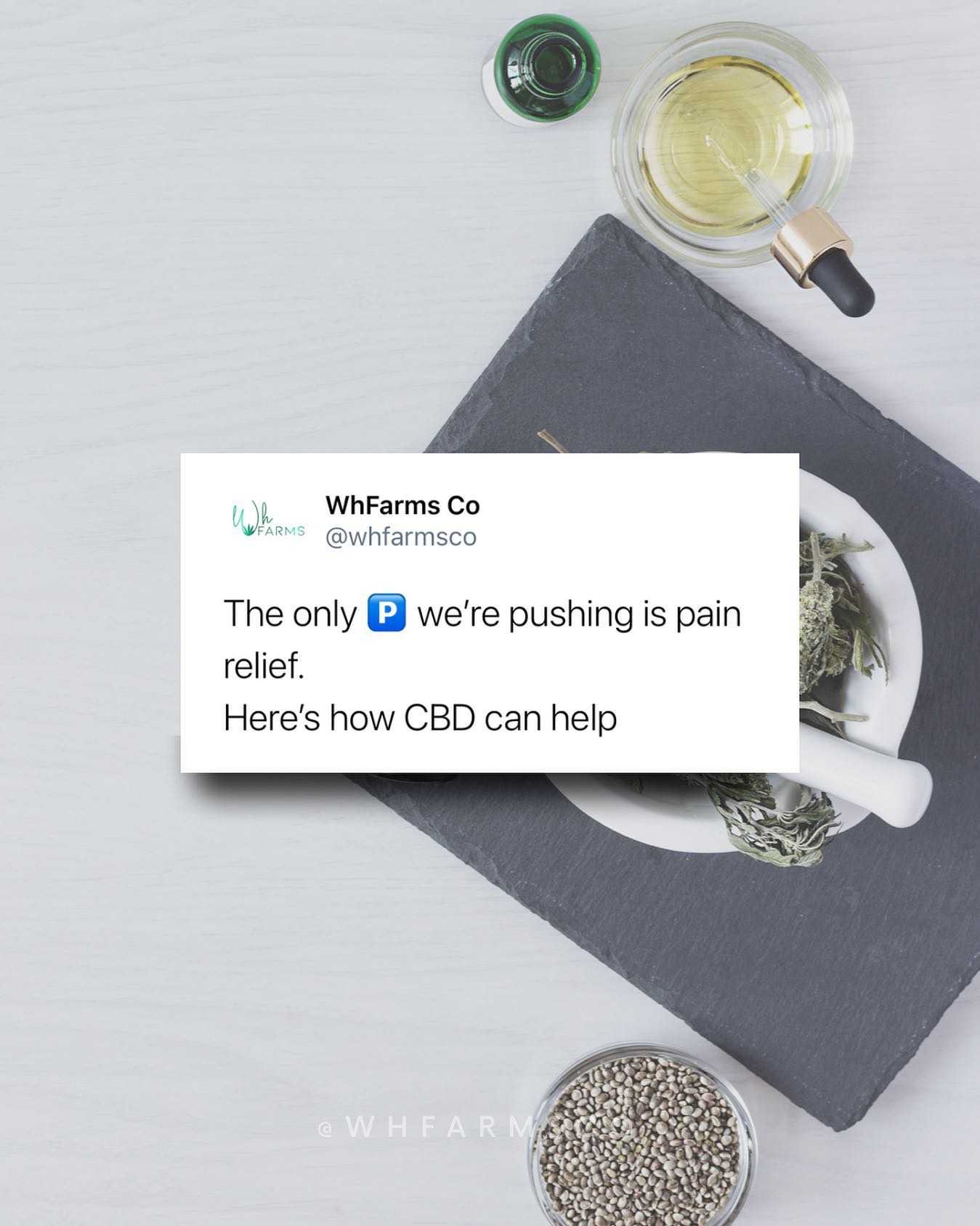 Cannabis Business Ideas