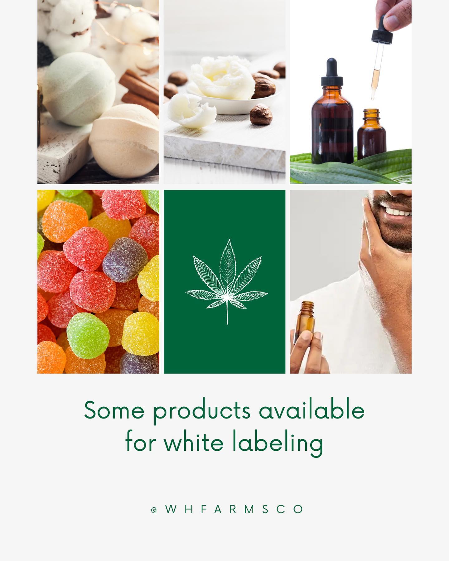 CBD Wellness & Lifestyle Blog