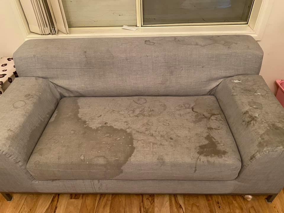 Couch Cleaning Sydney