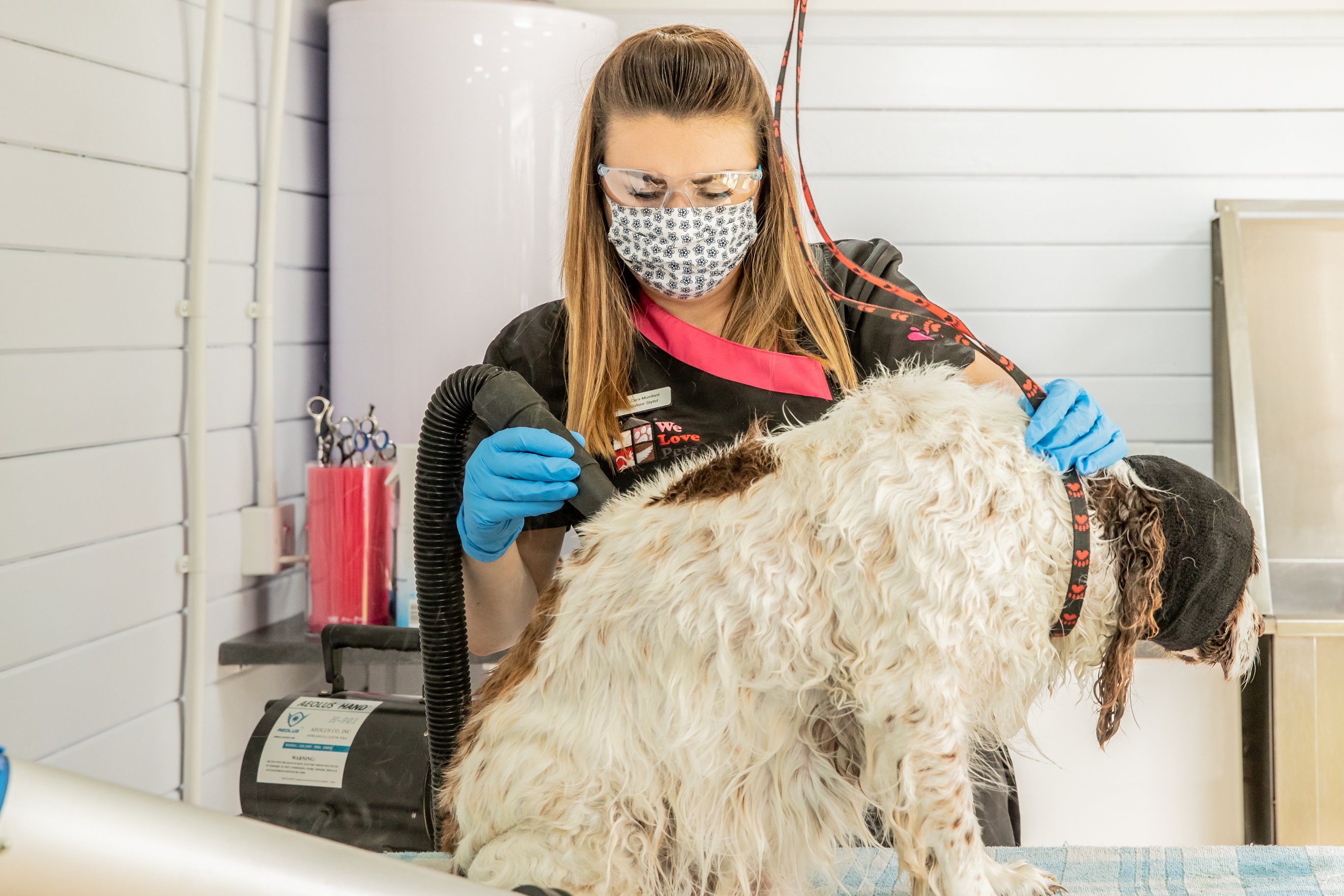 Dog Grooming Mesa AZ