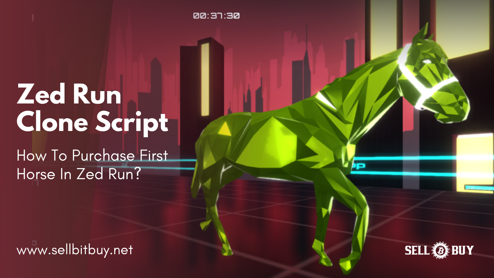 How To Purchase First Horse In Zed Run?