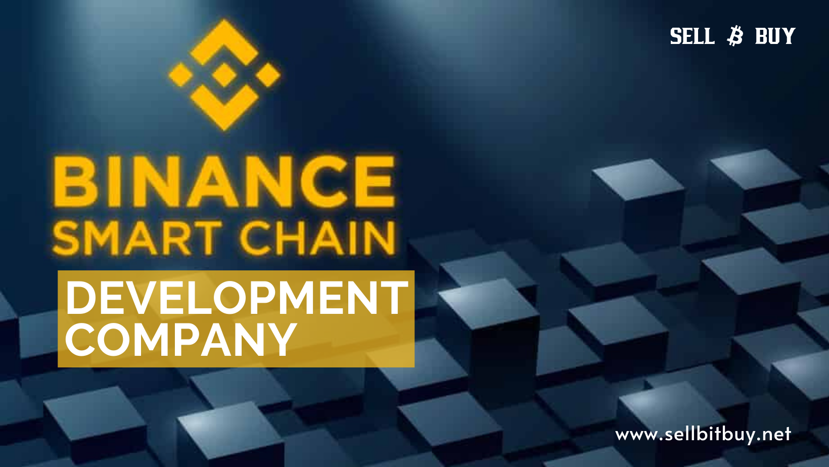 Binance Smart Chain Development Company - Sellbitbuy