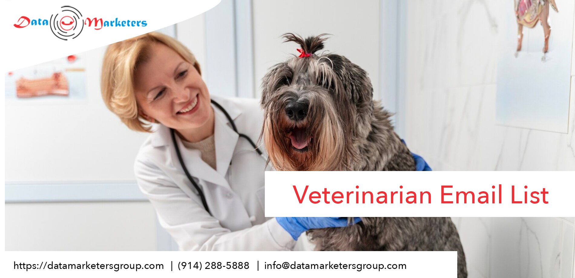 Purchase Custom-Built Veterinarian Email List 