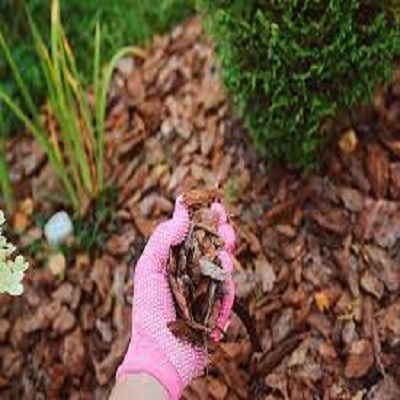 Pocono Mountains Lawn Maintenance