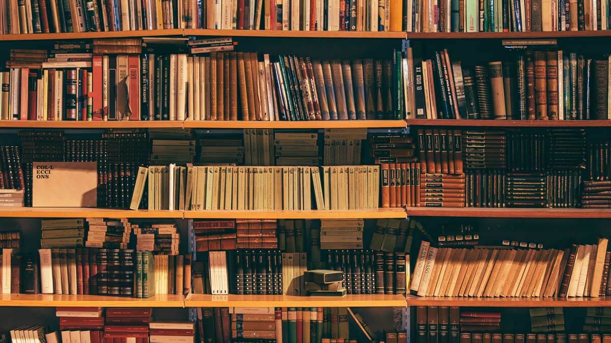 Captivating Alluring Essay Topic Contemplations for College Students - 2021