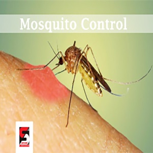 Pest Control  Services in Mumbai by Sadguru Pest Control