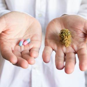 Top 5 Benefits of Miracle Leaf CBD