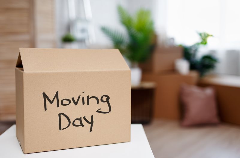 Move-in Cleaning: Tips for a Stress-Free Transition